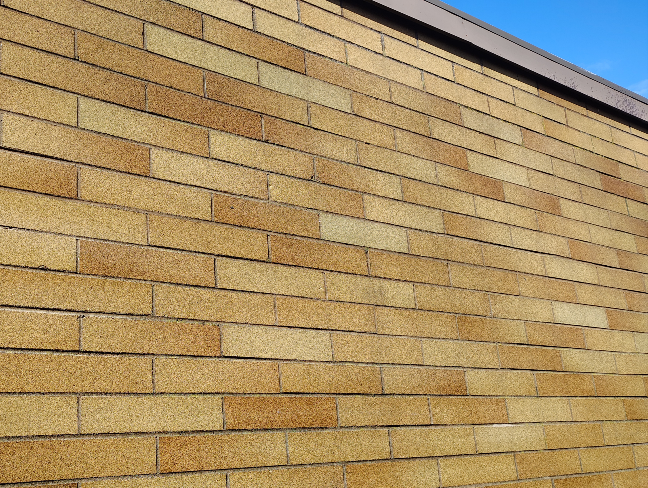 brick wall